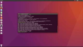 Ubuntu para Principiantes  El Terminal [upl. by Draneb455]