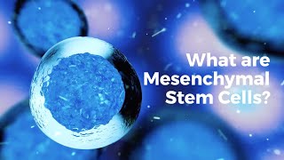 MSC mesenchymal stem cell Cell Harvesting from 3D Hydrogel Bead Culture [upl. by Mellisent]