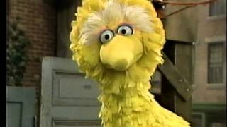 Classic Sesame Street  Big Bird The Grouch [upl. by Eninnaj]