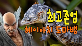 3년사이 최고존엄에 등극한 Abronia님을 만나봅시다 [upl. by Naujyt772]