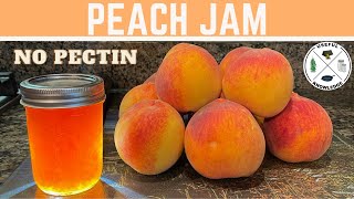 Peach Jam without Pectin  Useful Knowledge [upl. by Anaitat]