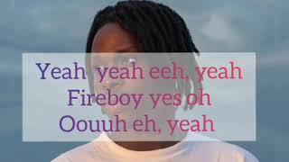 Fireboy DMLLike I Do Lyrics [upl. by Leachim614]