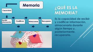 La memoria  Psicología [upl. by Cawley]