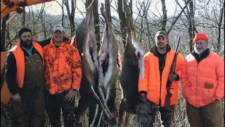 How to field dress a deer  By The Bearded Butchers [upl. by Kotz]