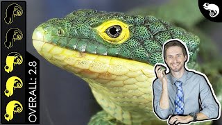 Abronia Arboreal Alligator Lizard The Best Pet Lizard [upl. by Alyahsal]