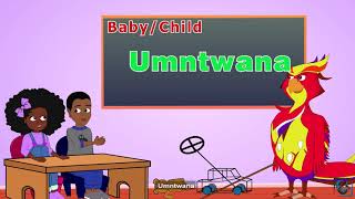 Basic Ndebele  Reading and Speaking for preschool kids Ep1 Childrens Learn [upl. by Aerdnahc899]