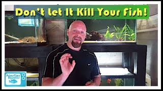 How to Lower Nitrites in an Aquarium [upl. by Yffub565]