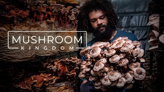 Cultivating Gourmet and Medicinal Mushrooms  PARAGRAPHIC [upl. by Maidie]