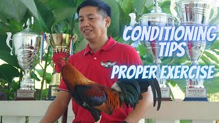 Conditioning Tamang Ehersisyo Sa Ating Panglabang Manok  Light VS Heavy Exercise [upl. by Ellesirg]