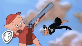 Looney Tunes  Daffy Duck Hunt [upl. by Burtis938]