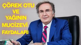 ÇÖREK OTU VE YAĞININ FAYDALARI İBRAHİM SARAÇOĞLU [upl. by Yelrehs27]