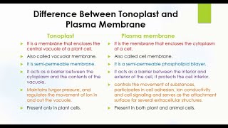 Difference Between Tonoplast and Plasma Membrane  Biology [upl. by Chubb]