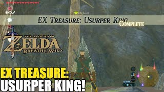 EX Treasure Usurper King  Usurper King Helmet Location Botw [upl. by Anirtap237]