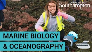 Study Marine Biology and Oceanography  University of Southampton [upl. by Ryhpez]