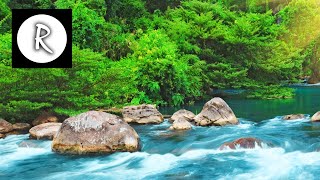 Relaxing Nature Sounds  Water Sound 24 Hours Gentle River amp Stream [upl. by Buhler164]