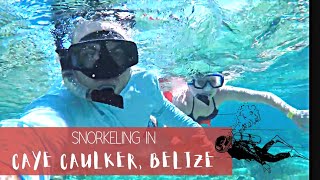 Snorkeling in Caye Caulker Belize [upl. by Reames685]