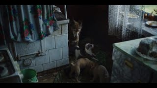 Chernobyl Episode 4 Scene  HBO  Pets Liquidation [upl. by Swift]