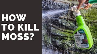 How To Kill Moss  Safer Moss And Algae Killer Review [upl. by Petrie]