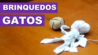 2 Brinquedos caseiros para Gatos  Quatro Patas Mão na Massa [upl. by Terraj620]