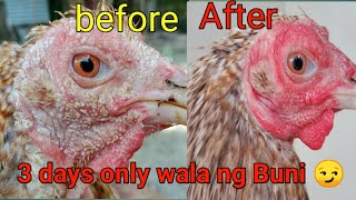 ANO ANG GAMOT SA BUNI NG MANOK [upl. by Philly]