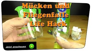 Beste Mücken und Fliegenfalle selber bauen  Life Hack  DIY [upl. by Aij82]