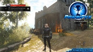 The Witcher 3 Wild Hunt  Griffin Witcher Gear Set Locations Armed and Dangerous Trophy [upl. by Sukramal]