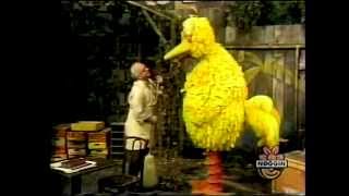 Classic Sesame Street  Big Bird Helps Mr Hooper [upl. by Dielu664]