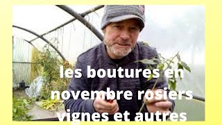 comment bouturer toutes vos plantes [upl. by Jago297]