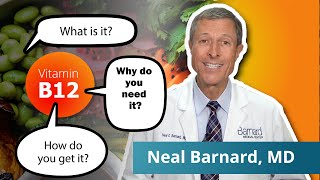 What You Need To Know About Vitamin B12  Vegan Diets [upl. by Eyllib]