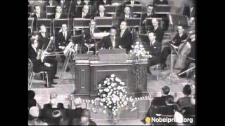 Martin Luther King Jr Nobel Peace Prize Acceptance Speech [upl. by Aretta226]