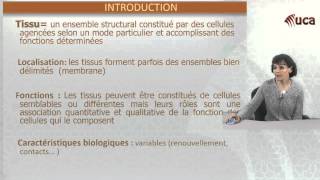 Histologie Introduction [upl. by Mimi]