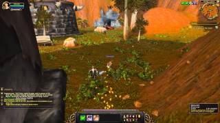 Quest 107 Prisoners of War WoW human paladin [upl. by Darsey]