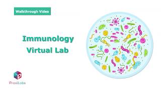 Immunofluorescence assay IFA  Immunology Virtual Lab l PraxiLabs [upl. by Aehr]