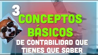 3 Conceptos básicos de contabilidad que TIENES que saber [upl. by Annoeik]