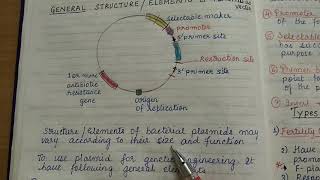 Bacterial Plasmids part 1 [upl. by Odlabu]