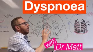 Dyspnoea  Respiratory System [upl. by Darn446]