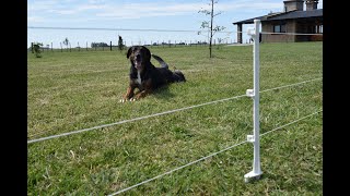 Cerco Eléctrico Pequeños Animales  EL PATEADOR® Instructivo de armado [upl. by Anastatius]