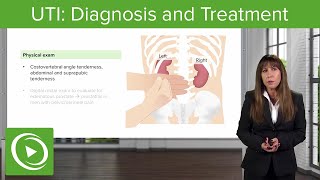 UTI Diagnosis and Treatment – Nephrology  Lecturio [upl. by Mij]