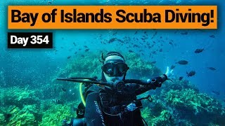 🤿 Scuba Diving in the Bay of Islands – New Zealands Biggest Gap Year – Backpacker Guide New Zealand [upl. by Ellerehc]