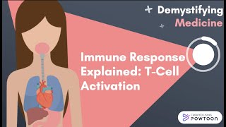 Immune Response Explained TCell Activation [upl. by Oeht]