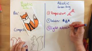 Biotic and Abiotic Factors  p67 [upl. by Tiat]