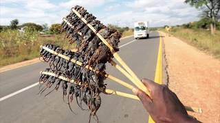 Lucius Banda  Kalata Yachinayi FanVideo [upl. by Katonah691]