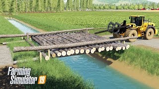 BAD LOGGING COMPANY CUTS TREES  Farming Simulator 19 Multiplayer Gameplay [upl. by Alston]