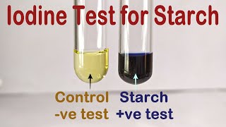 Iodine Test For Starch Practical Experiment [upl. by Anay161]