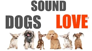 Sound Dogs Love All Time  HQ [upl. by Wyatan910]