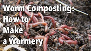 Worm Composting How to Make a Wormery [upl. by Airam]