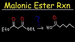 Malonic Ester Synthesis Reaction Mechanism [upl. by Nyer]