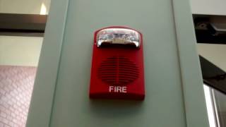 Fire Alarm Activation Due to Suppression System [upl. by Selinda]