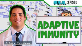 Immunology  Adaptive Immunity [upl. by Bubb]