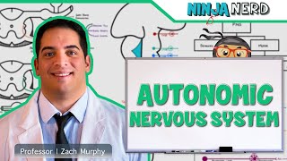 Neurology  Autonomic Nervous System [upl. by Drud]